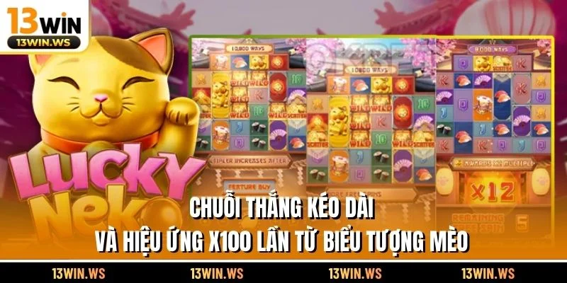 Chuỗi thắng kéo dài và hiệu ứng x100 lần từ biểu tượng mèo