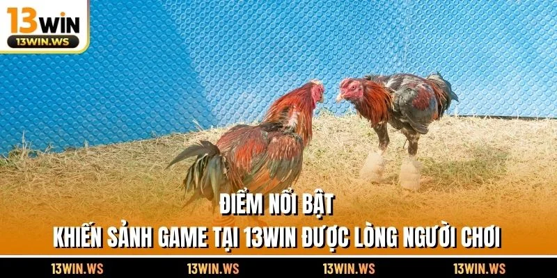 Điểm nổi bật khiến sảnh game tại 13WIN được lòng người chơi