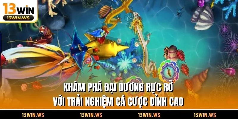 Khám phá đại dương rực rỡ với trải nghiệm cá cược đỉnh cao