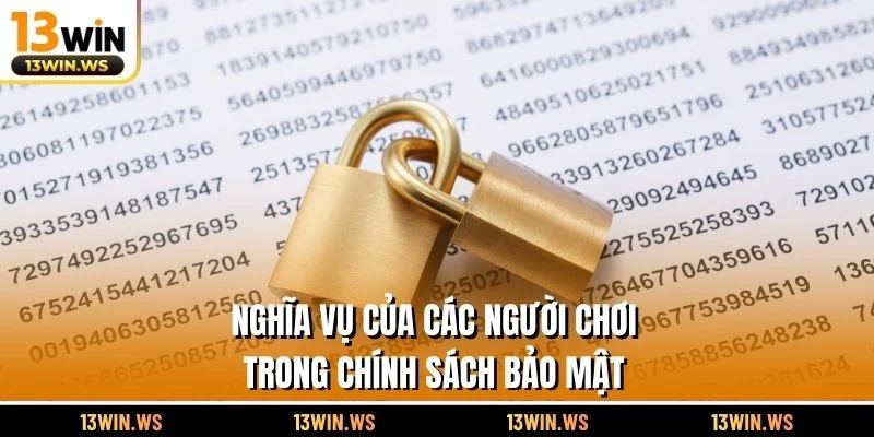 Nghĩa vụ của các người chơi trong chính sách bảo mật