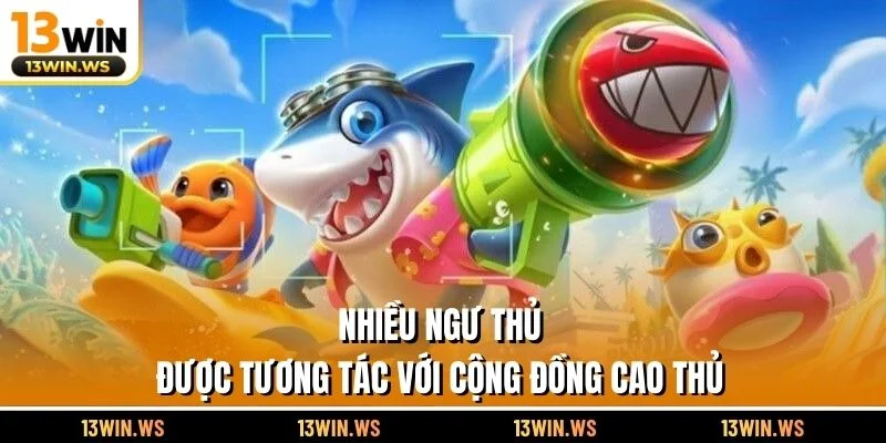 Nhiều ngư thủ được tương tác với cộng đồng cao thủ