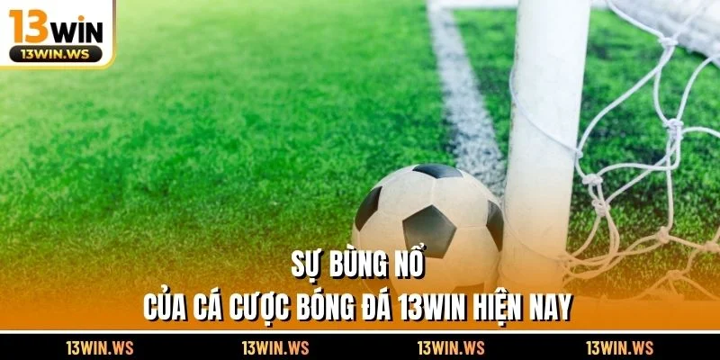 Sự bùng nổ của cá cược bóng đá 13WIN hiện nay