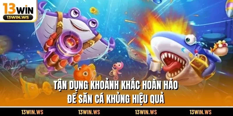Tận dụng khoảnh khắc hoàn hảo để săn cá khủng hiệu quả