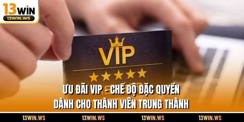 Ưu Đãi VIP – Chế Độ Đặc Quyền Dành Cho Thành Viên Trung Thành
